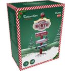 Home Styling Collection, świąteczna dekoracja zewnętrzna LED