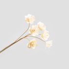 Homla, Alba, bukiet kwiatów, lilia wodna z drewna, 50 cm