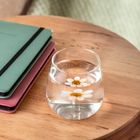 Homla, Campo, szklanka ze stokrotką w środku, 0,4 l