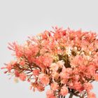 Homla, Cladel, bukiet kwiatów, sztuczny koralowy, 30 cm