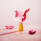 Homla, Fantasie, kieliszek z ryflowaną nóżką, różowo-żółty, 0,31l, 731426