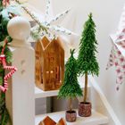 Homla, Hector, choinka, na pieńku, 80 cm