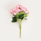 Homla, Hyndra, gałązka sztuczna, hortensja różowa, 51 cm