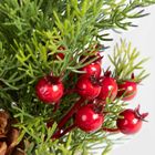 Homla, Juletran, choinka, zielona z szyszkami i czerwonymi gałązkami, 30 cm