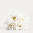 Homla, Lieger, bukiet kwiatów, biały, 30 cm