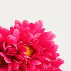 Homla, Lieger, bukiet kwiatów, ciemnoróżowy, 30 cm