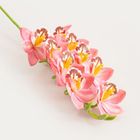 Homla, Orkid, gałązka sztuczna, orchidea różowa, 109 cm