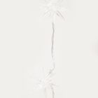 Homla, Pollo, lampki, gwiazdki, 10 LED