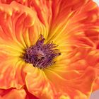 Homla, Slava, gałązka sztuczna, kwiat pomarańczowy, 85 cm