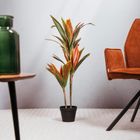 Homla, Tropical Zone, roślina sztuczna, dracena, 90 cm, 740596