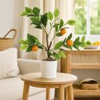 Ibergarden, dekoracyjne drzewko, pomarańczowe, 58 cm