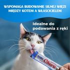 Inaba, Churu, kurczak tuńczyk, przysmak dla kota, 80-14g