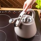 Klausberg, czajnik stalowy z gwizdkiem, szary, 2,5l, kb-7949