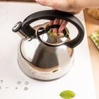 Klausberg, czajnik z gwizdkiem, stalowy, 2,5l, KB-7910