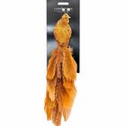 Koopman, ptaszek dekoracyjny na klipsie, brązowo-miedziany, 38 cm