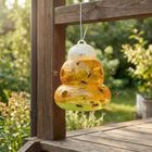 Koopman, pułapka na osy, pomarańczowa, 15 cm