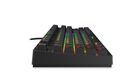Krux, klawiatura gamingowa, Atax RGB Outemu Brown