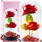 Lean Toys, 2 wieczne róże w kopule, z oświetleniem LED