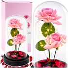 Lean Toys, 2 wieczne róże w kopule, z oświetleniem LED