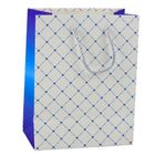 Lean Toys, torba prezentowa papierowa błyszczące serduszka, 23-18-10,5 cm, 1 szt.