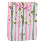 Lean Toys, torba prezentowa papierowa, niebieska, różowa brokat, 23-18-10,5 cm, 1 szt.