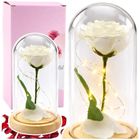 Lean Toys, wieczna róża w kopule, z oświetleniem LED