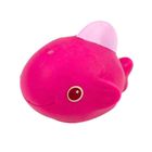 Lean Toys, zwierzęta morskie, gumowe zabawki do kąpieli, 6 elementów
