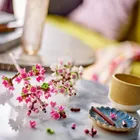 LEGO Botanicals, Kwiaty wiśni, 40725