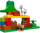 LEGO DUPLO, Leśne zwierzęta, 10582