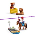 LEGO Friends, Klinika weterynaryjna w Heartlake City, 41446