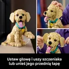 LEGO Icons, Szczeniak golden retriever, 11384
