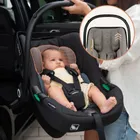 Lionelo, Astrid, i-Size, fotelik samochodowy, Beige Taupe