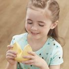 Littlest Pet Shop, ciasteczko z wróżbą, figurka niespodzianka, 1 szt.
