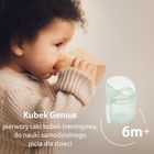 Lovi, Genius, kubek treningowy, pistachio ,150 ml