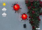 Maximex, lampki ogrodowe solarne, biedronki LED, 20 cm, 2 szt.