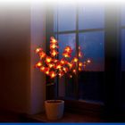 Maximex, lampki ogrodowe solarne, storczyki LED, 75 cm, 2 szt.