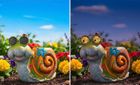 Maximex, solarna figurka ogrodowa ślimak LED, ze świecącymi oczami, 21-18,5 cm