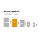 Miquelrius, notebook A4, 80 stron, kratka, aqua