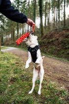 Mountain Paws, zabawka dla psa, płaski gryzak z liny