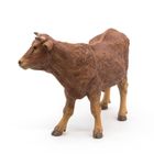 Papo, Krowa rasy limousine, figurka kolekcjonerska