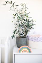 Pearhead, Rainbow, układanka drewniana