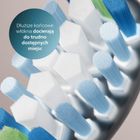 Philips, Sonicare, Premium Plaque Defence C3, końcówki do szczoteczki, czarne, 4 szt., HX9044/88