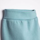 Półśpiochy chłopięce, niebieskie, Nicol