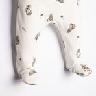 Półśpiochy dziewczęce, beżowe, Nicol