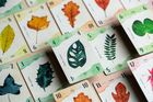 Portal Games, Liście, gra karciana