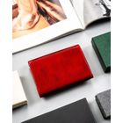 Portfel, czerwony, skórzany, Peterson