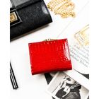 Portfel, czerwony, skórzany, RFID, Rovicky