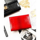 Portfel, czerwony, skórzany, Rovicky