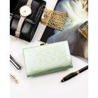 Portfel, jasnozielony, Peterson