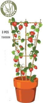 Progarden, podpora do roślin, bambusowa drabinka, 75 cm, 3 szt.